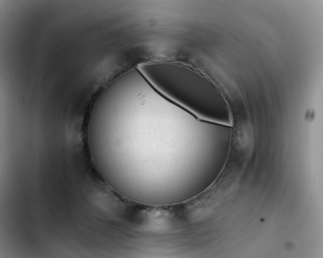 X0000103160512200808221357