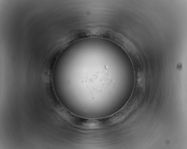 X0000103160514200808221357