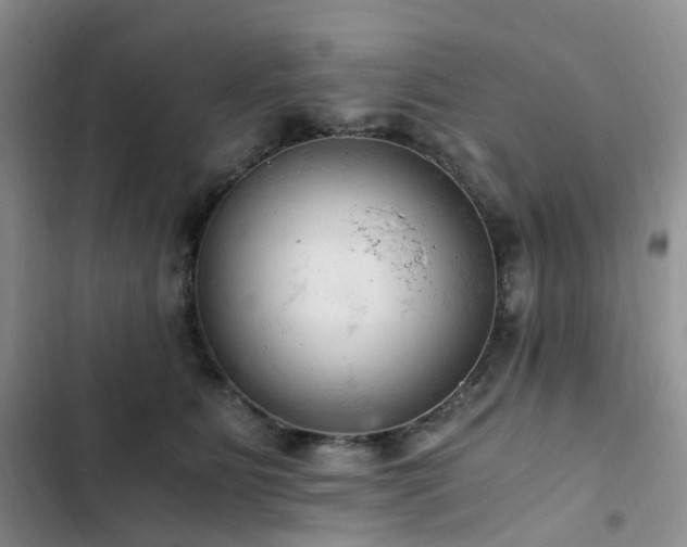 X0000103160515200808221357