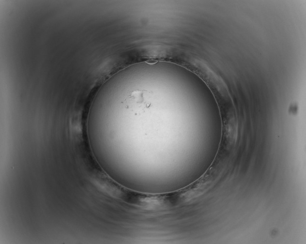 X0000103160516200808221357