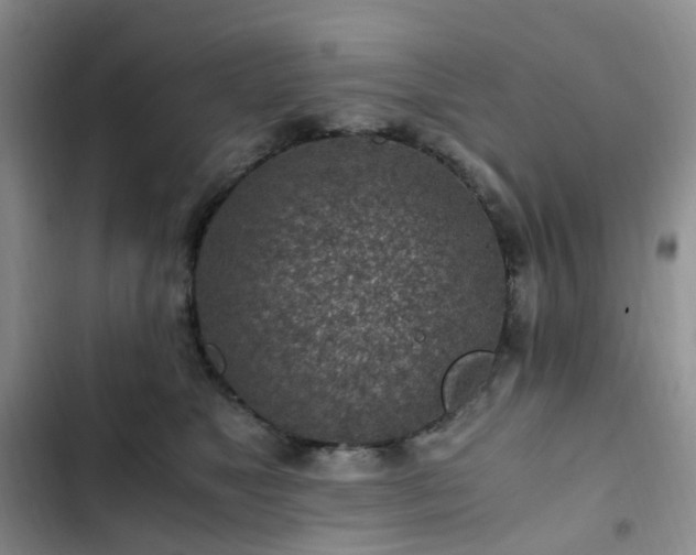 X0000103160517200808221357