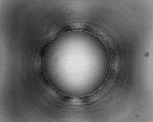 X0000103160518200808221357