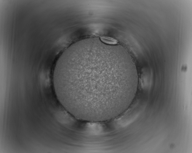 X0000103160520200808221357
