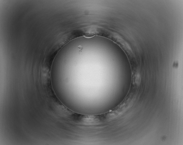 X0000103160521200808221357
