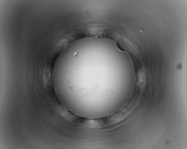 X0000103160522200808221357