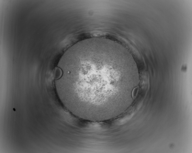 X0000103160523200808221357