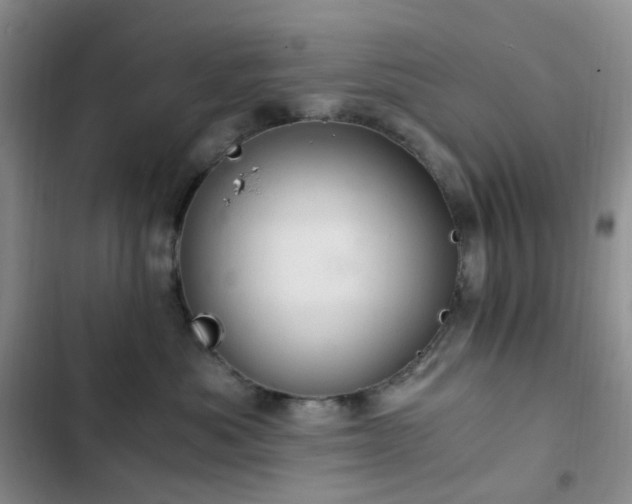 X0000103160525200808221357