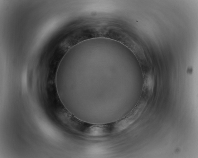X0000103160526200808221357