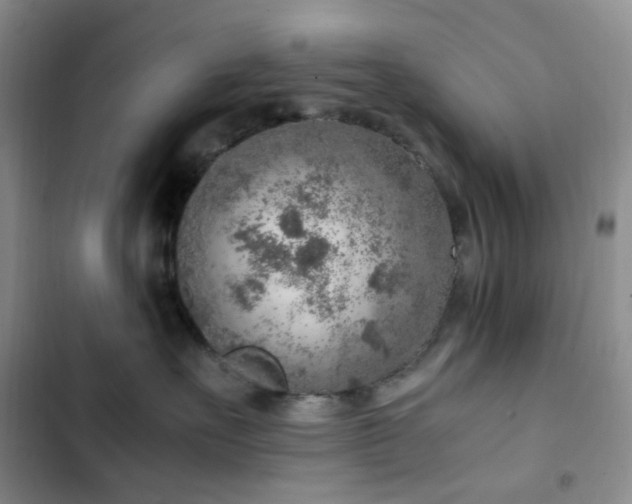 X0000103160527200808221357