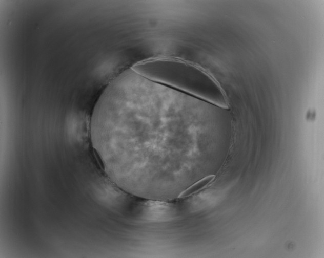 X0000103160528200808221357