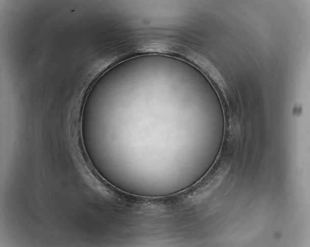 X0000103160529200808221356