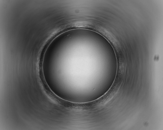 X0000103160530200808221356