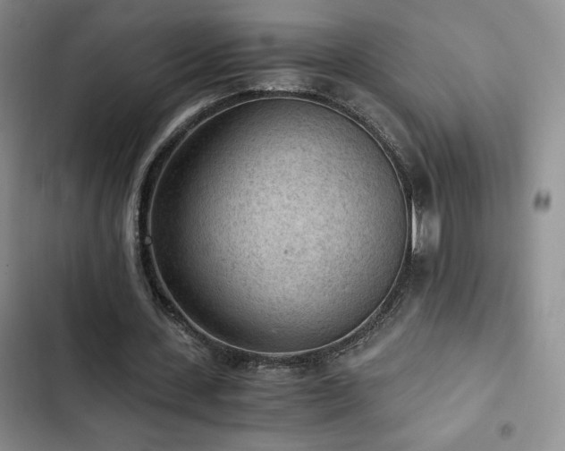 X0000103160531200808221356