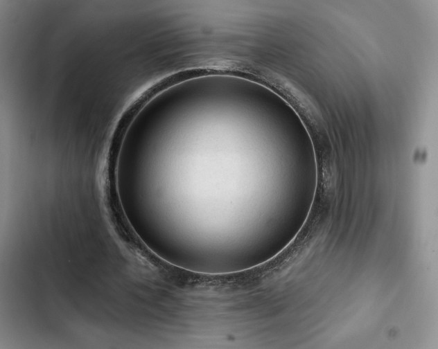 X0000103160532200808221356
