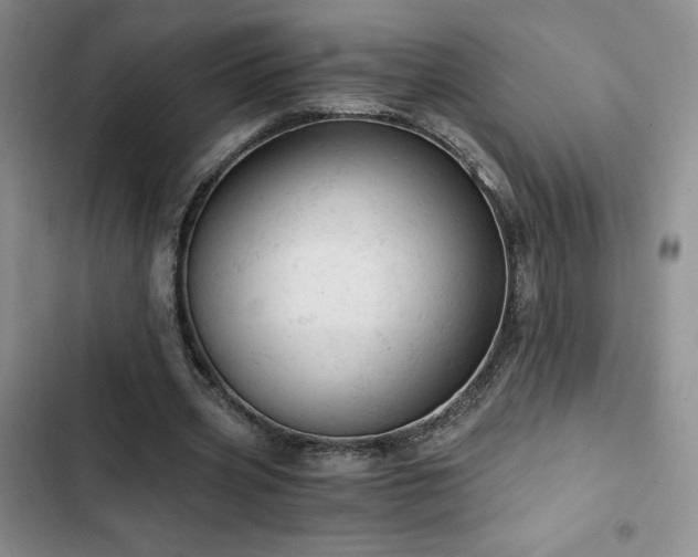 X0000103160533200808221356