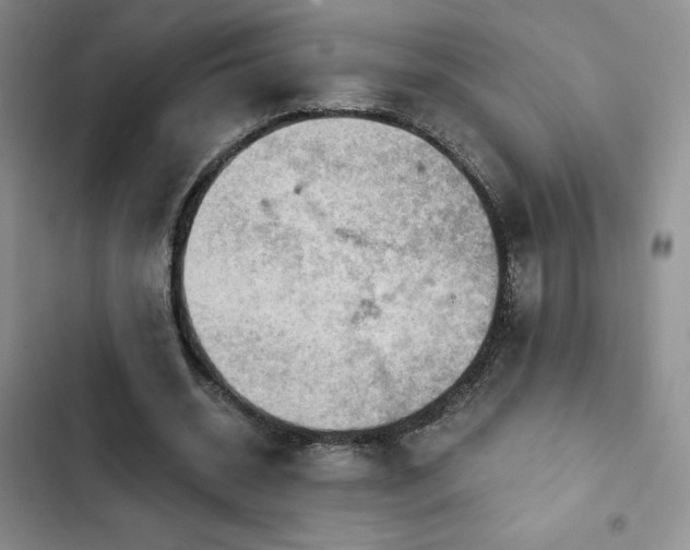 X0000103160534200808221356