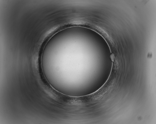X0000103160535200808221356