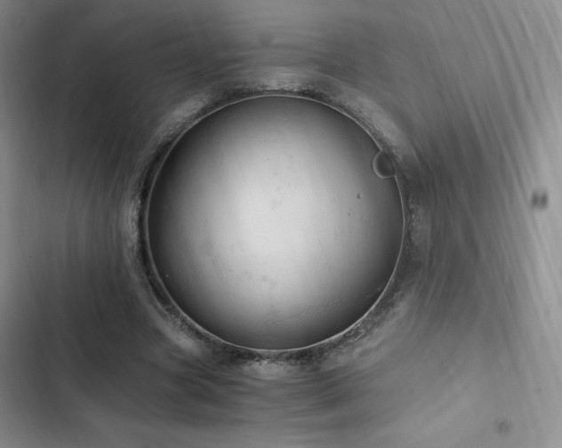 X0000103160537200808221356