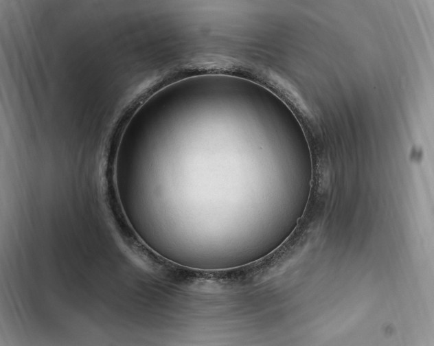 X0000103160538200808221356