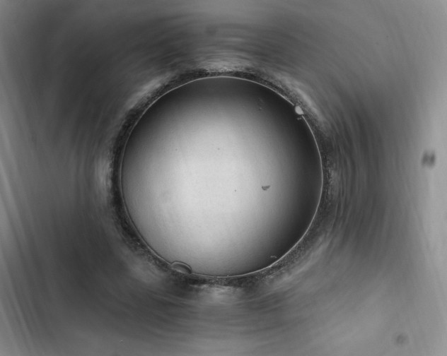X0000103160539200808221356