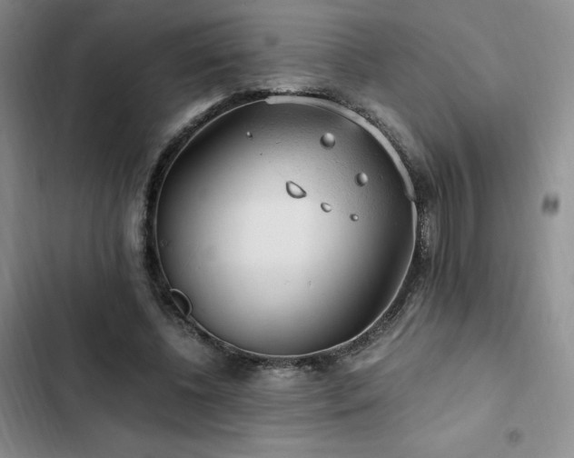 X0000103160540200808221356