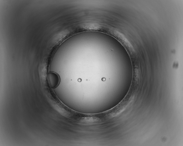 X0000103160541200808221356