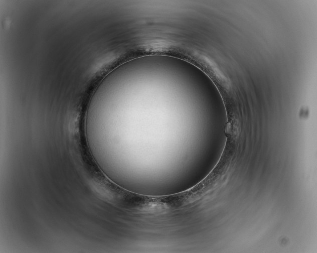 X0000103160543200808221356