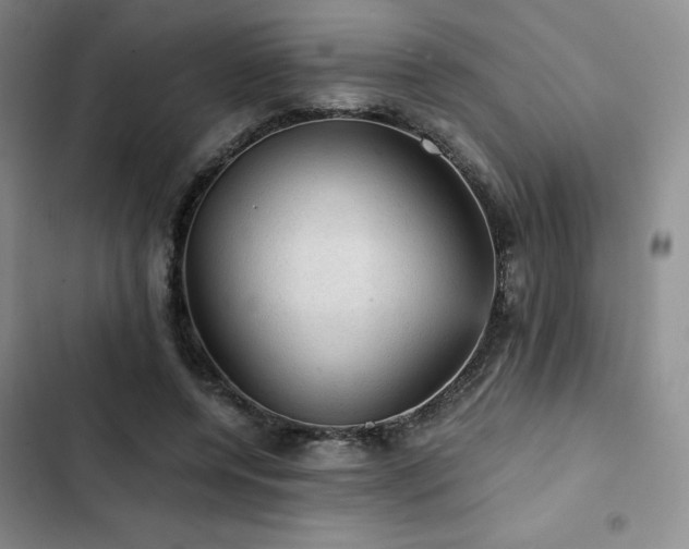 X0000103160544200808221356