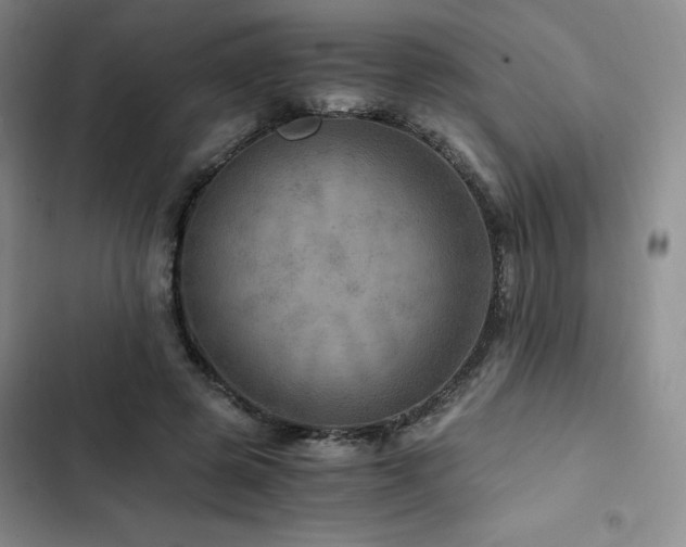 X0000103160545200808221356