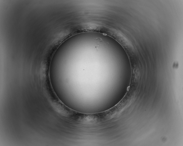 X0000103160546200808221356