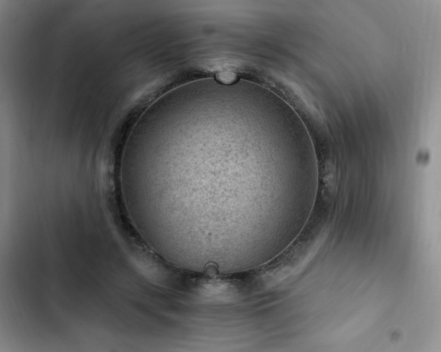 X0000103160547200808221356