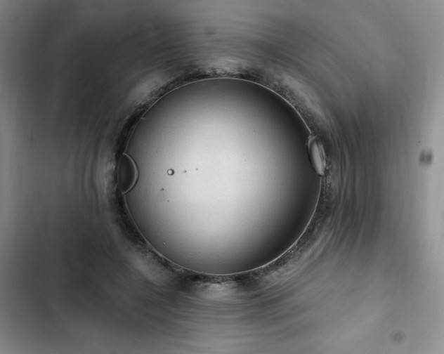 X0000103160548200808221357
