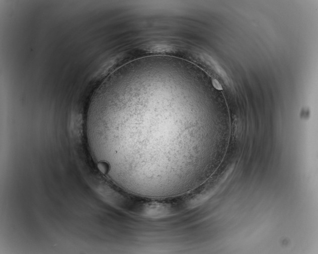 X0000103160549200808221357