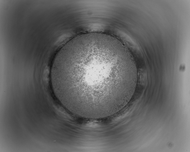 X0000103160550200808221357