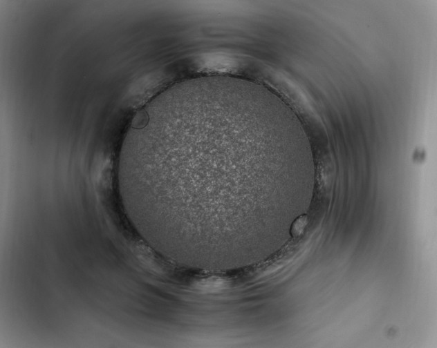 X0000103160551200808221357