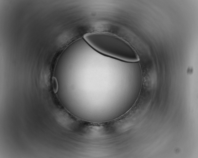 X0000103160552200808221357