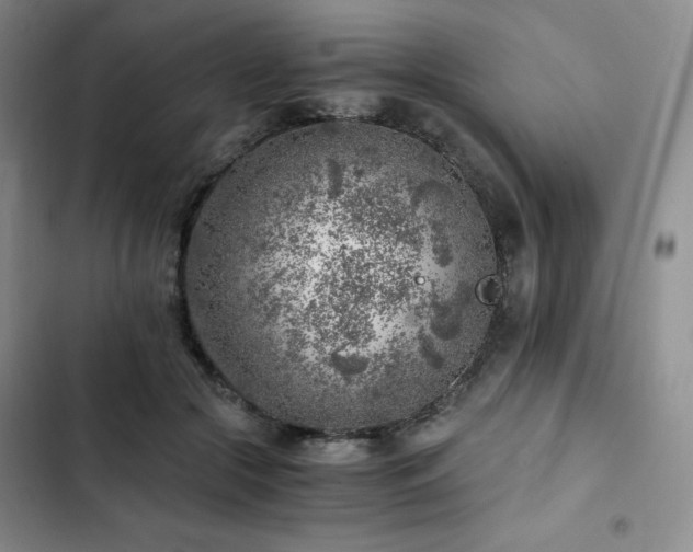 X0000103160553200808221357
