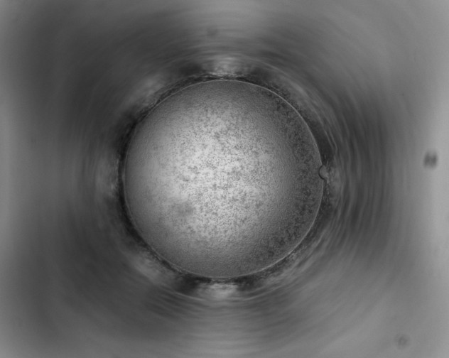 X0000103160554200808221357