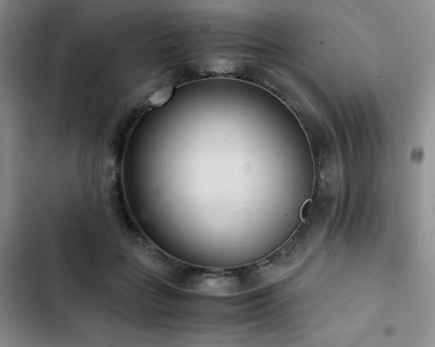 X0000103160555200808221357