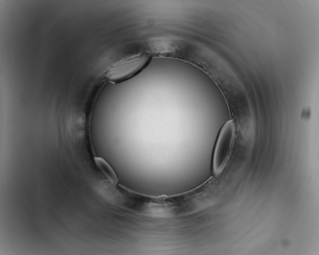 X0000103160556200808221357