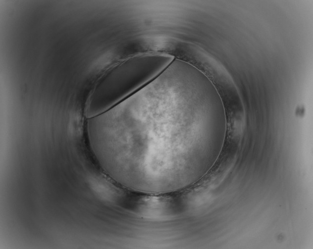 X0000103160558200808221357