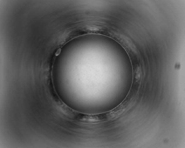 X0000103160559200808221357