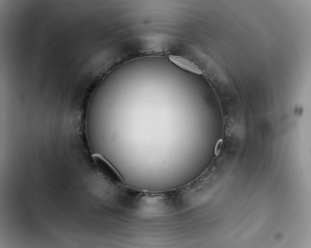 X0000103160560200808221357