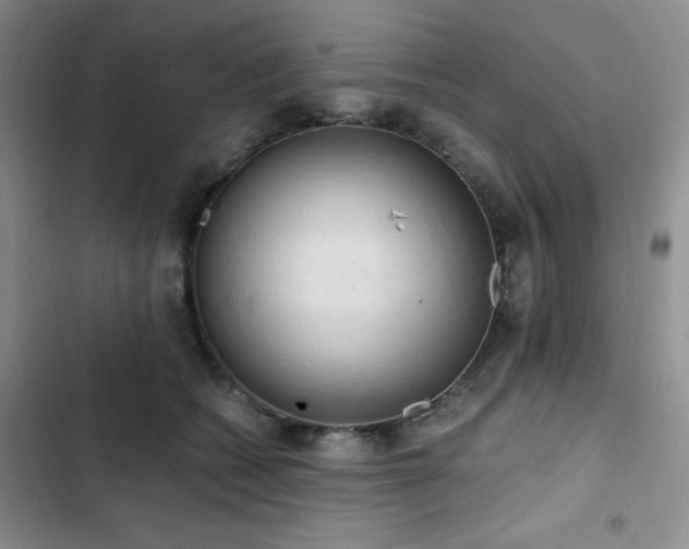 X0000103160562200808221357