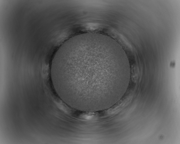 X0000103160563200808221357