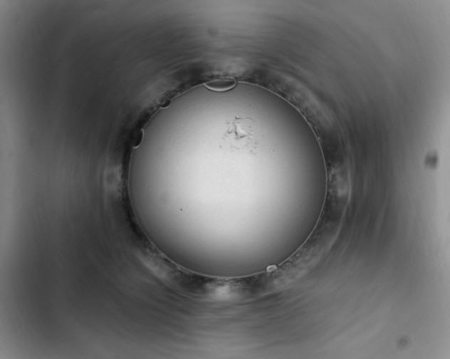 X0000103160564200808221357