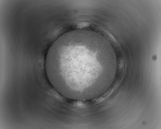 X0000103160565200808221357