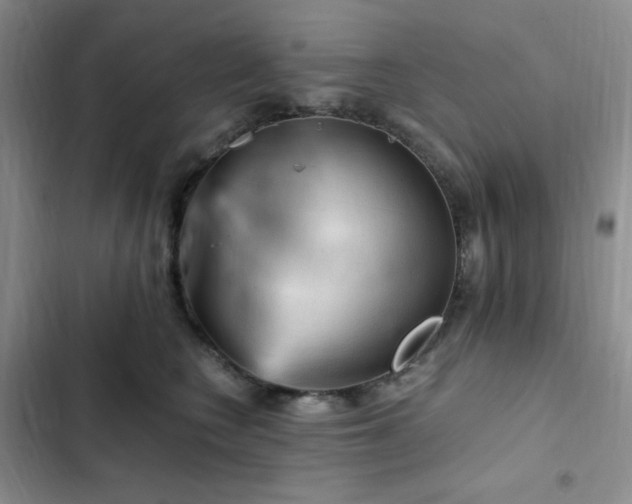 X0000103160566200808221357