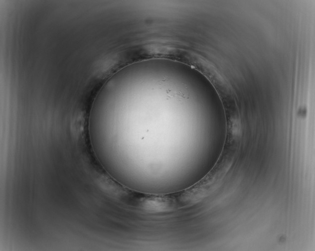 X0000103160567200808221357