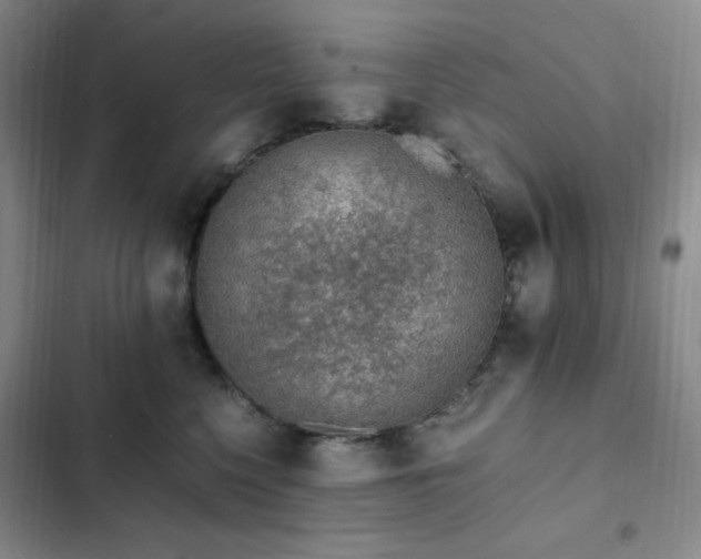 X0000103160568200808221357